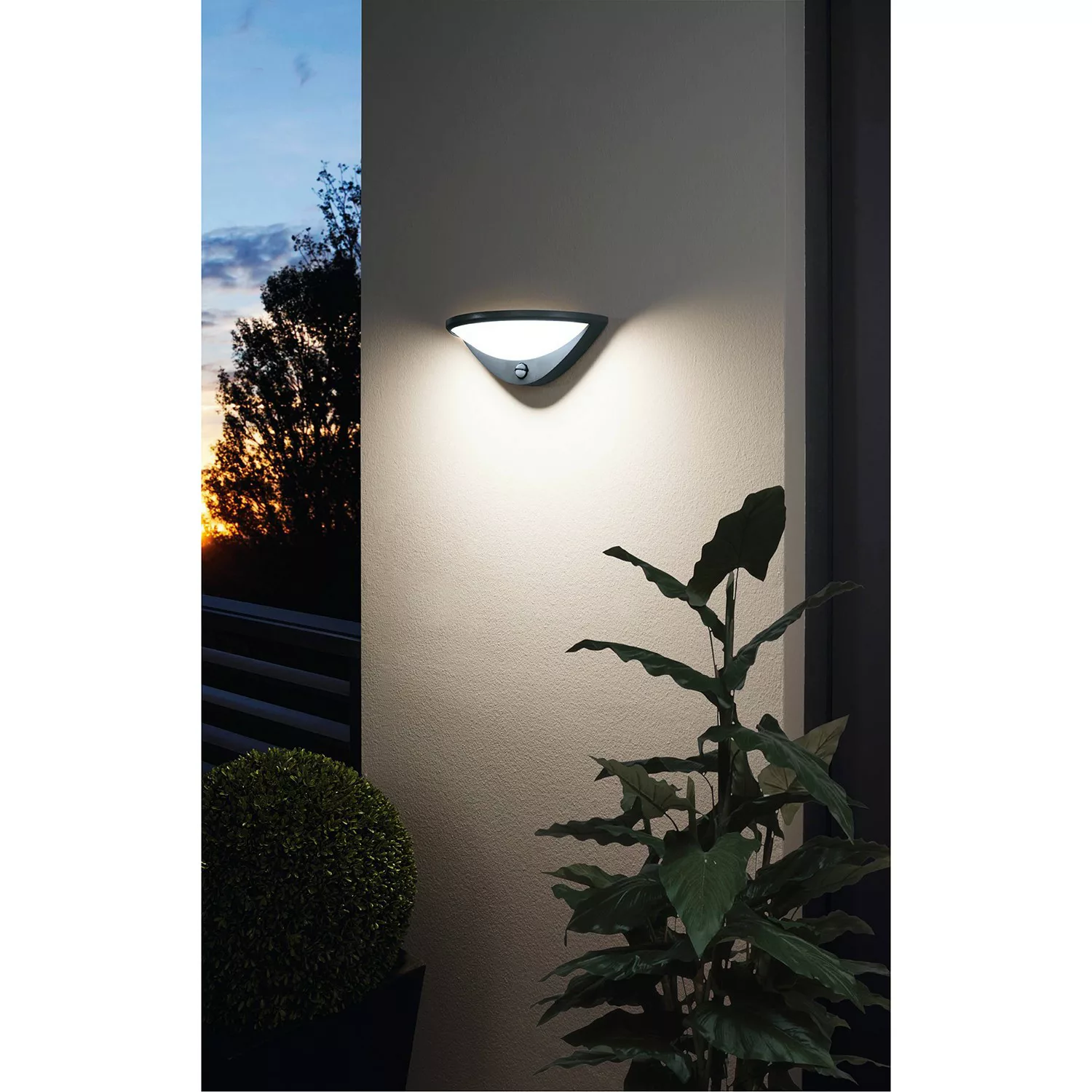 home24 LED-Wandleuchte Belcreda günstig online kaufen