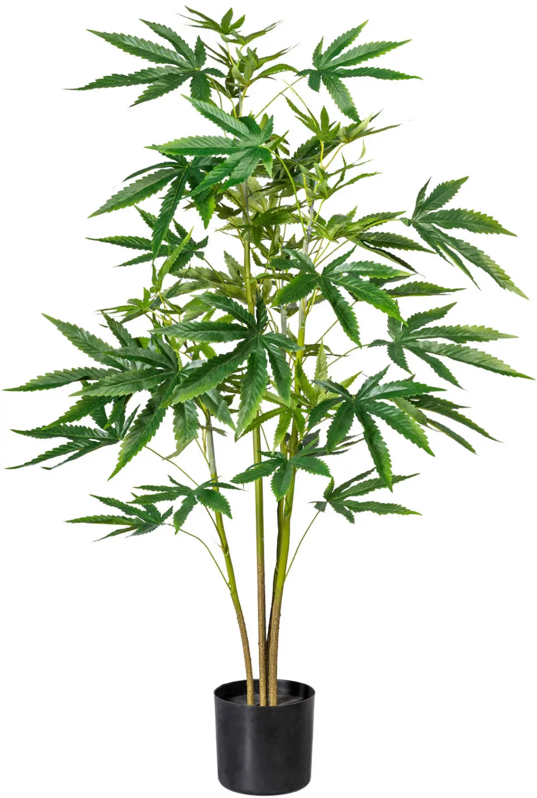 Creativ green Künstliche Zimmerpflanze "Zierhanfpflanze" günstig online kaufen