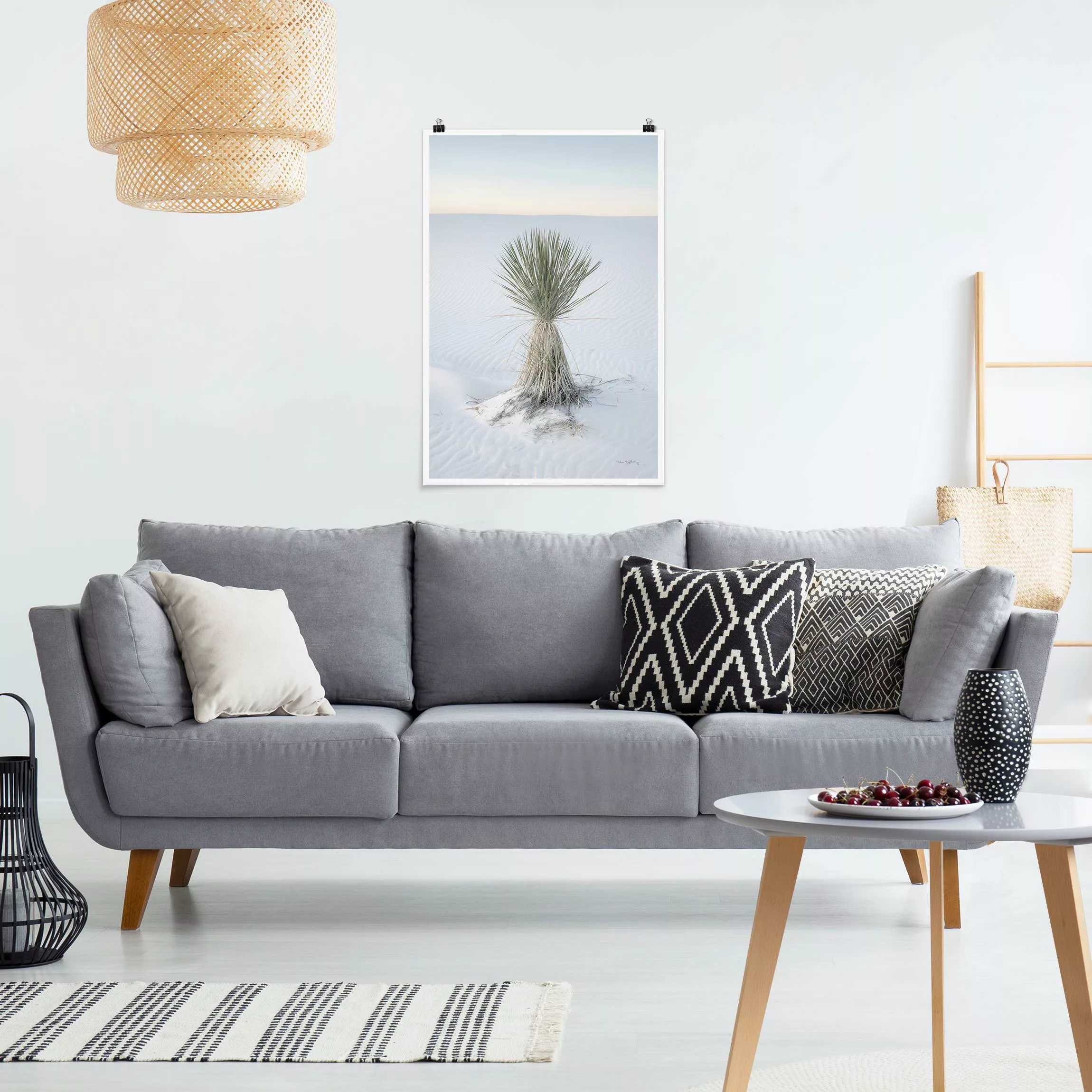 Poster Yucca Palme in weißem Sand günstig online kaufen