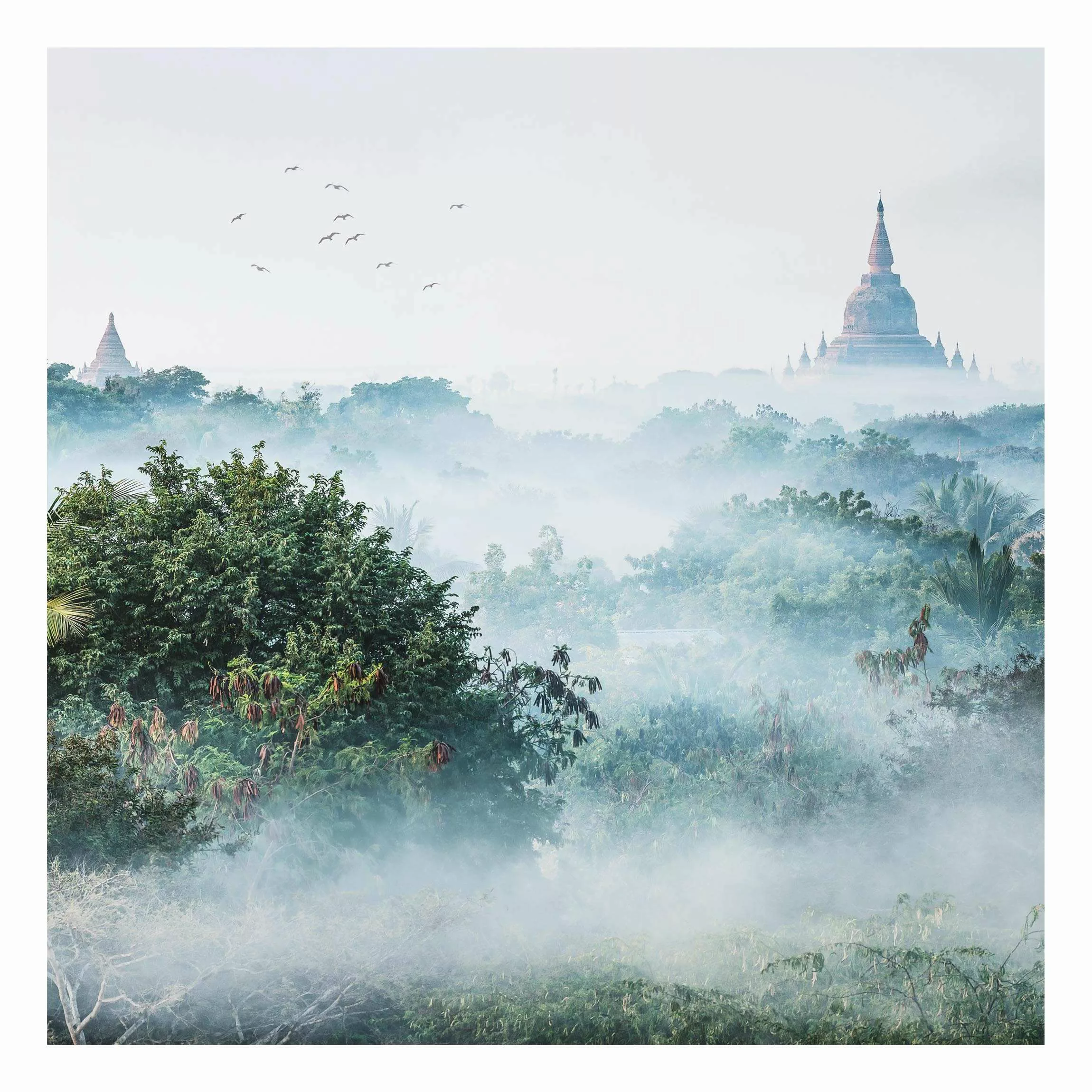 Alu-Dibond Bild Morgennebel über dem Dschungel von Bagan günstig online kaufen