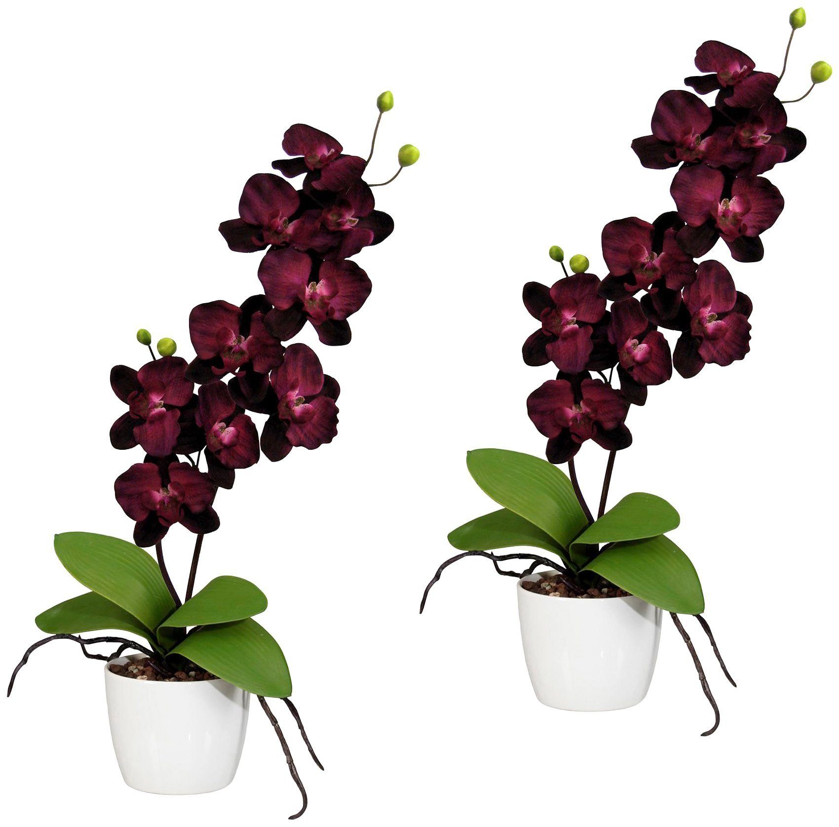 Kunstpflanze Orchidee Phalaenopsis Orchidee, Creativ green, günstig online kaufen