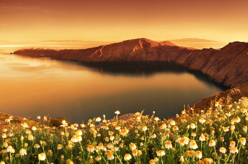 Papermoon Fototapete »Blumenwiese vor Bucht« günstig online kaufen