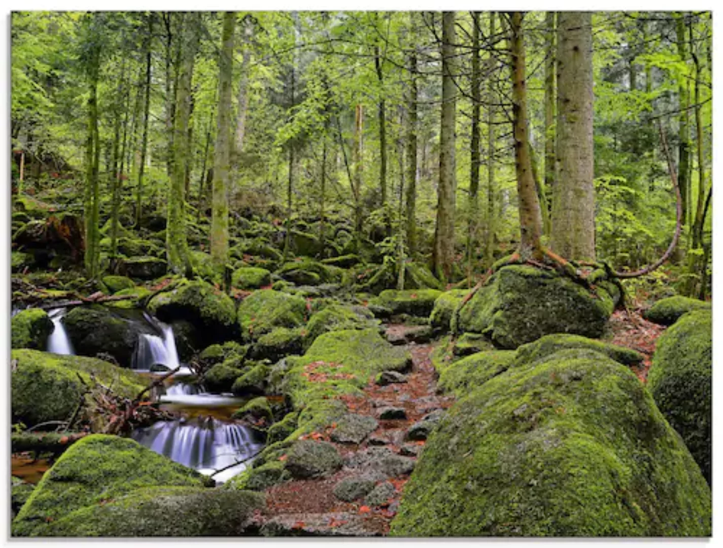 Artland Glasbild »Zauberwald mit Bach«, Wald, (1 St.), in verschiedenen Grö günstig online kaufen