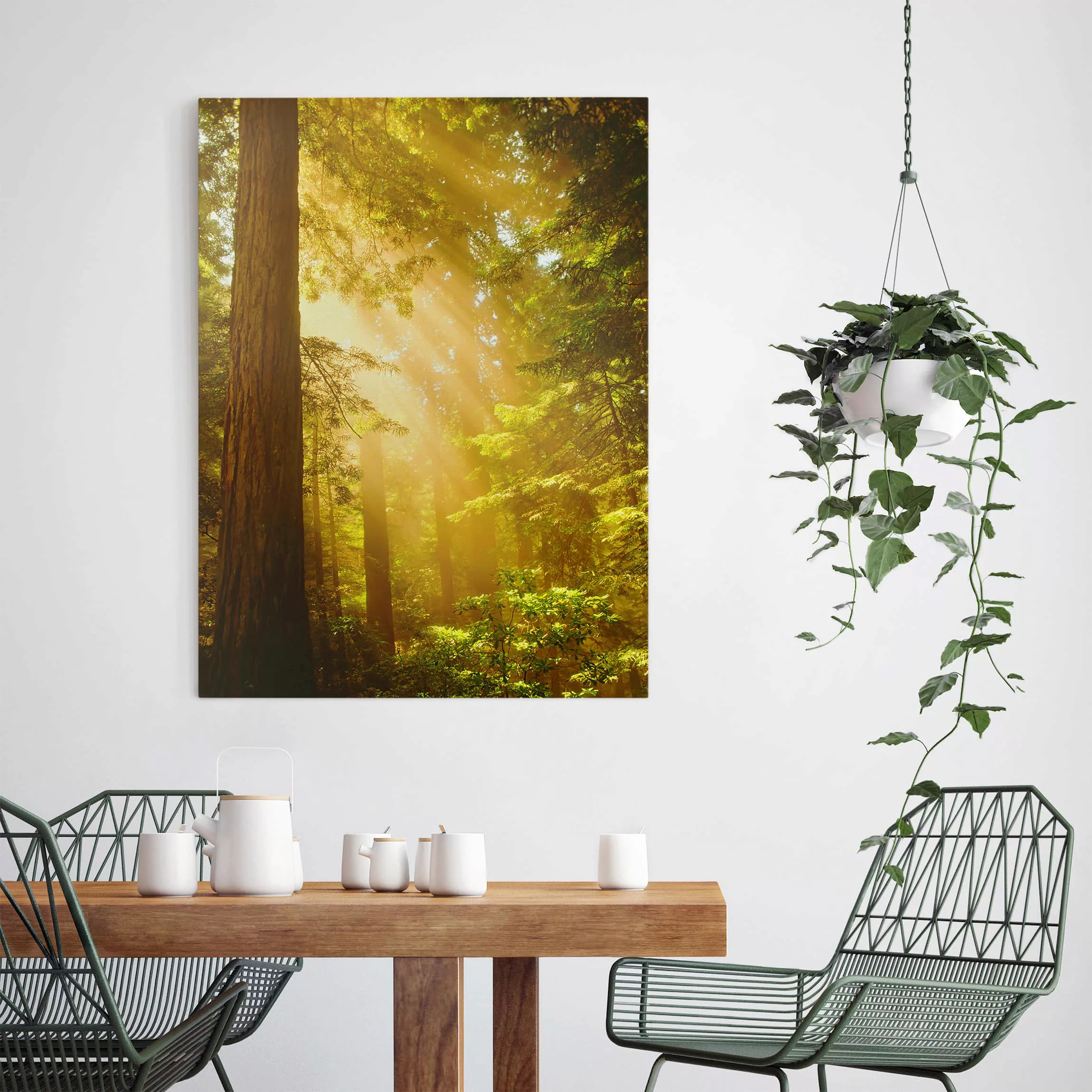 Leinwandbild Wald - Hochformat Morgengold günstig online kaufen