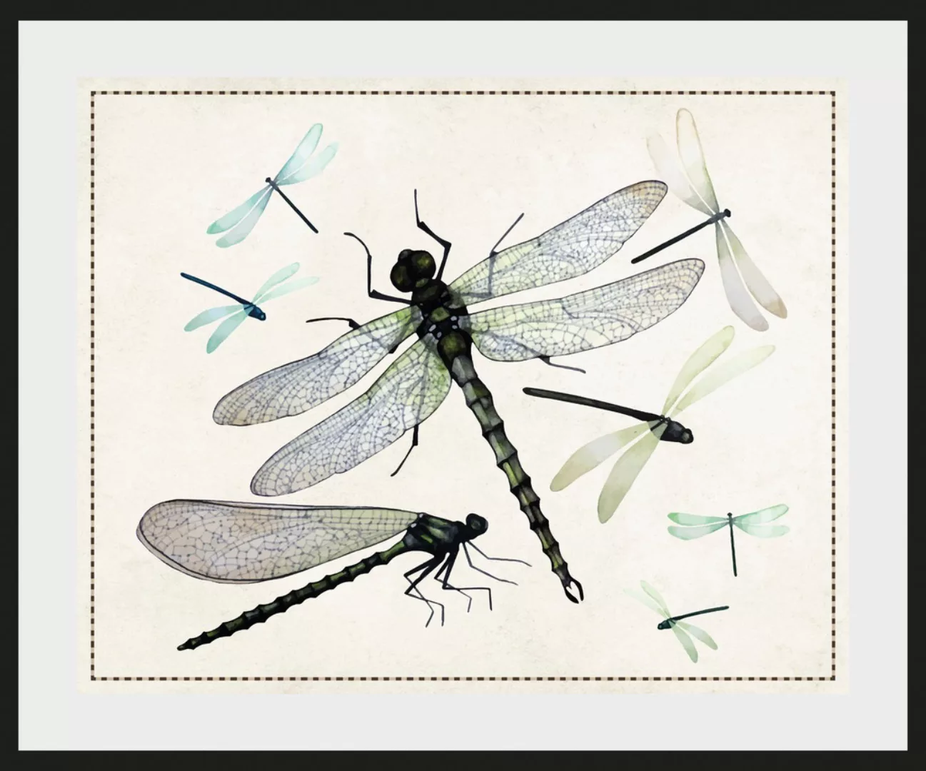queence Bild »Lola«, Insekten-historische Ereignisse-Kunst, (1 St.), HD Pre günstig online kaufen