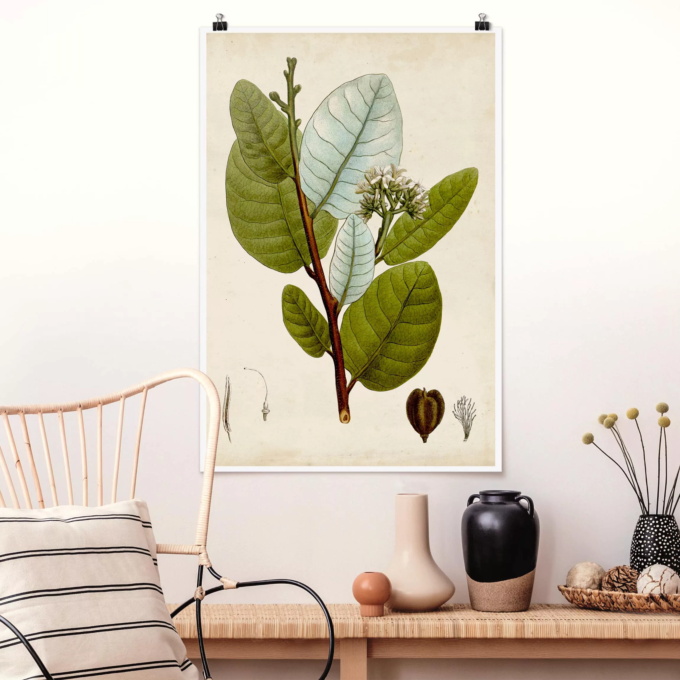 Poster Blumen - Hochformat Laubbaum Schautafel I günstig online kaufen