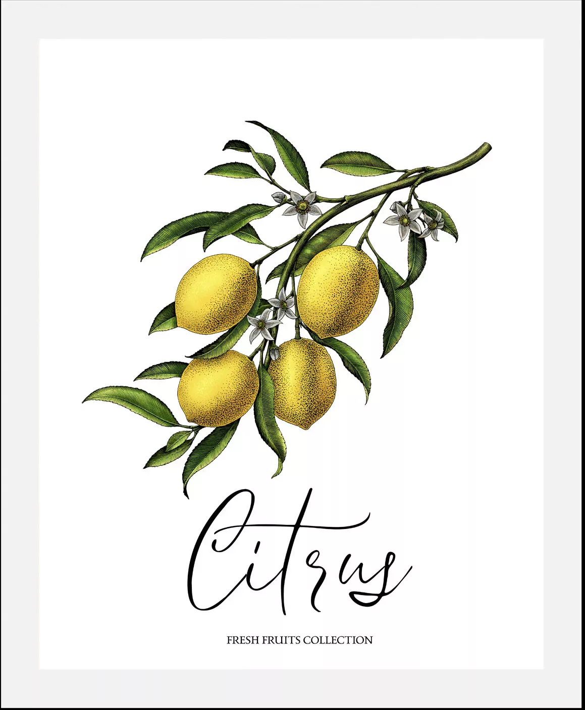 queence Bild "Citrus", (1 St.) günstig online kaufen