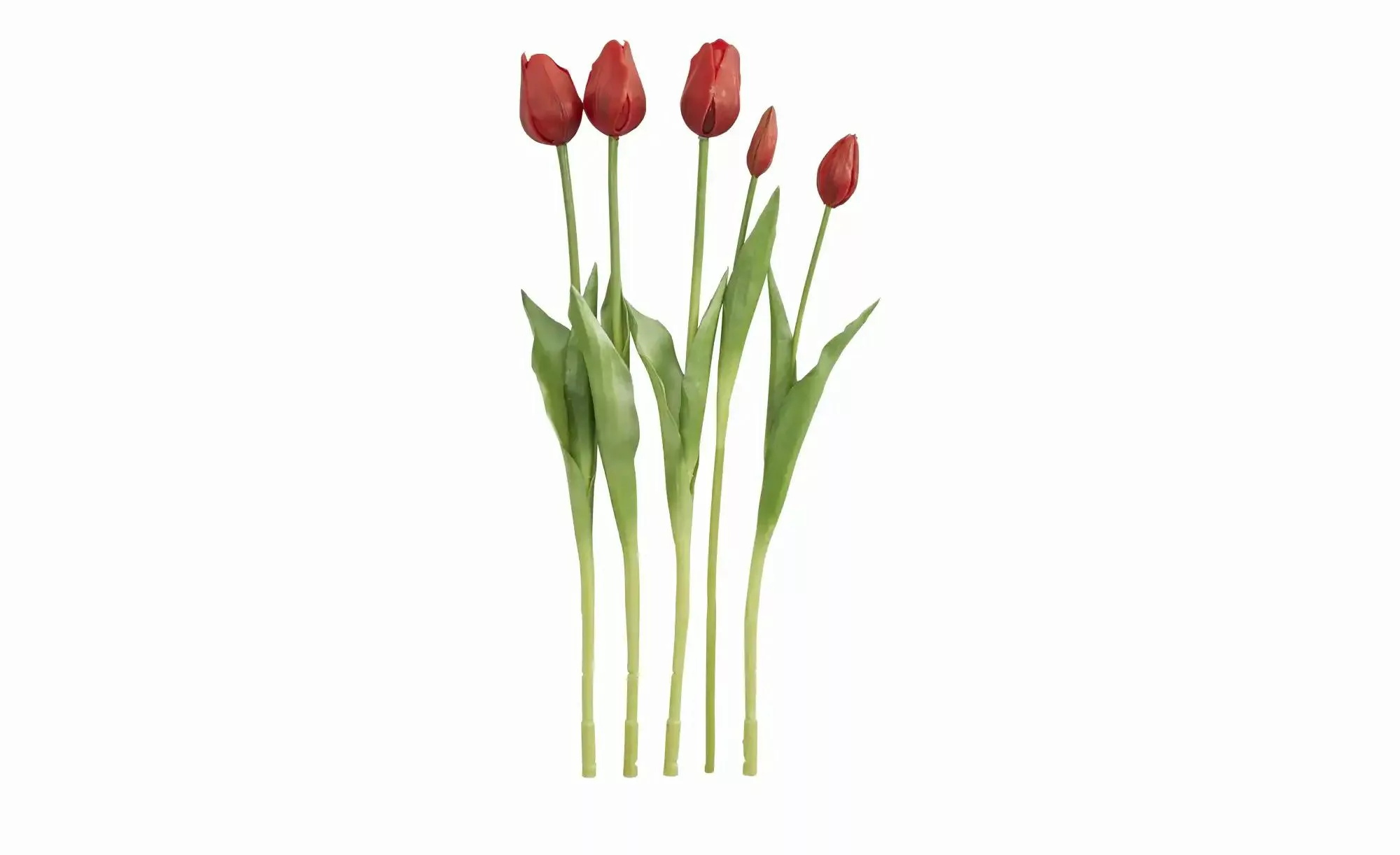 Französischer Tulpenbund   ¦ rot ¦ Polypropylen,Kunststoff ¦ Maße (cm): H: günstig online kaufen