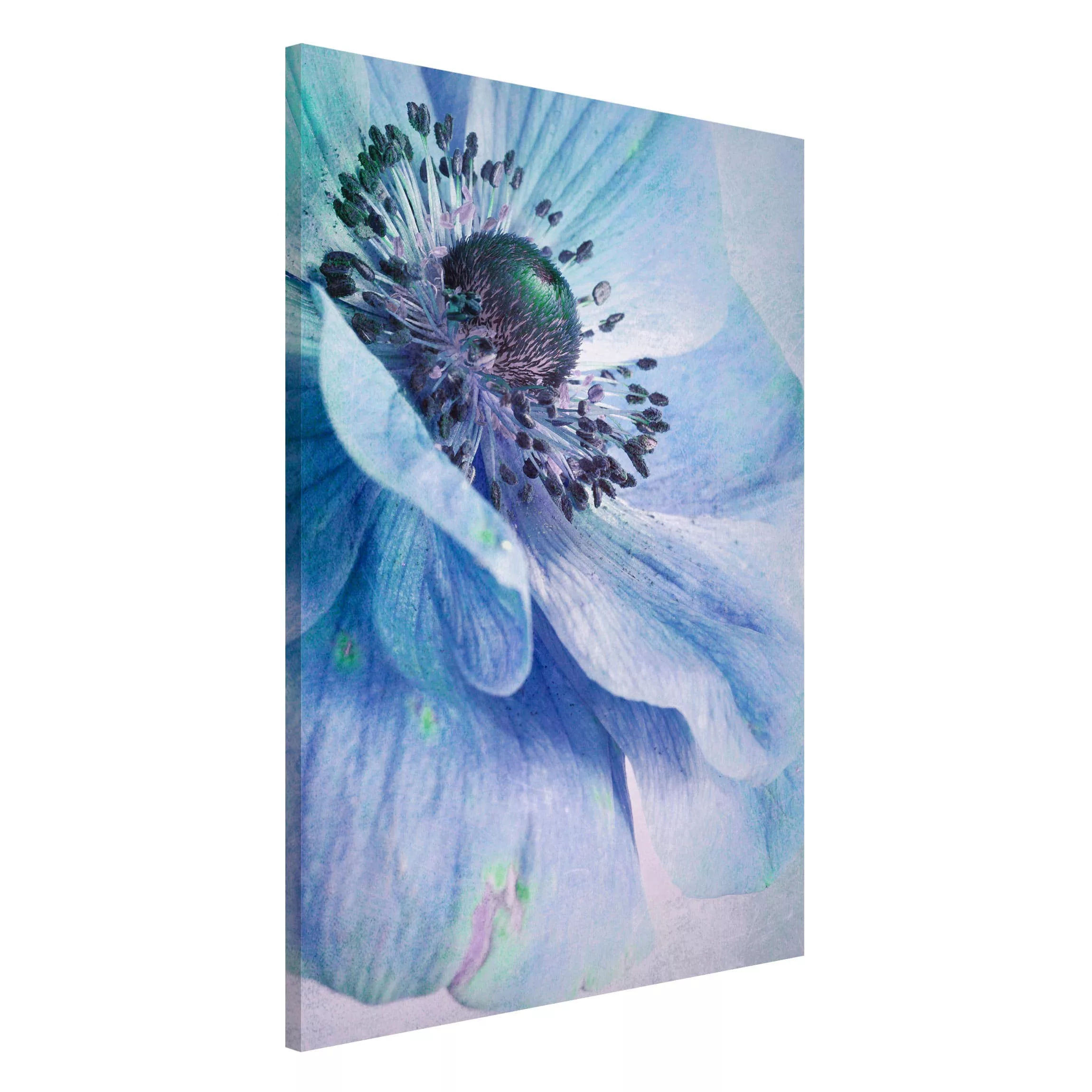 Magnettafel Blumen - Hochformat 2:3 Blüte in Türkis günstig online kaufen