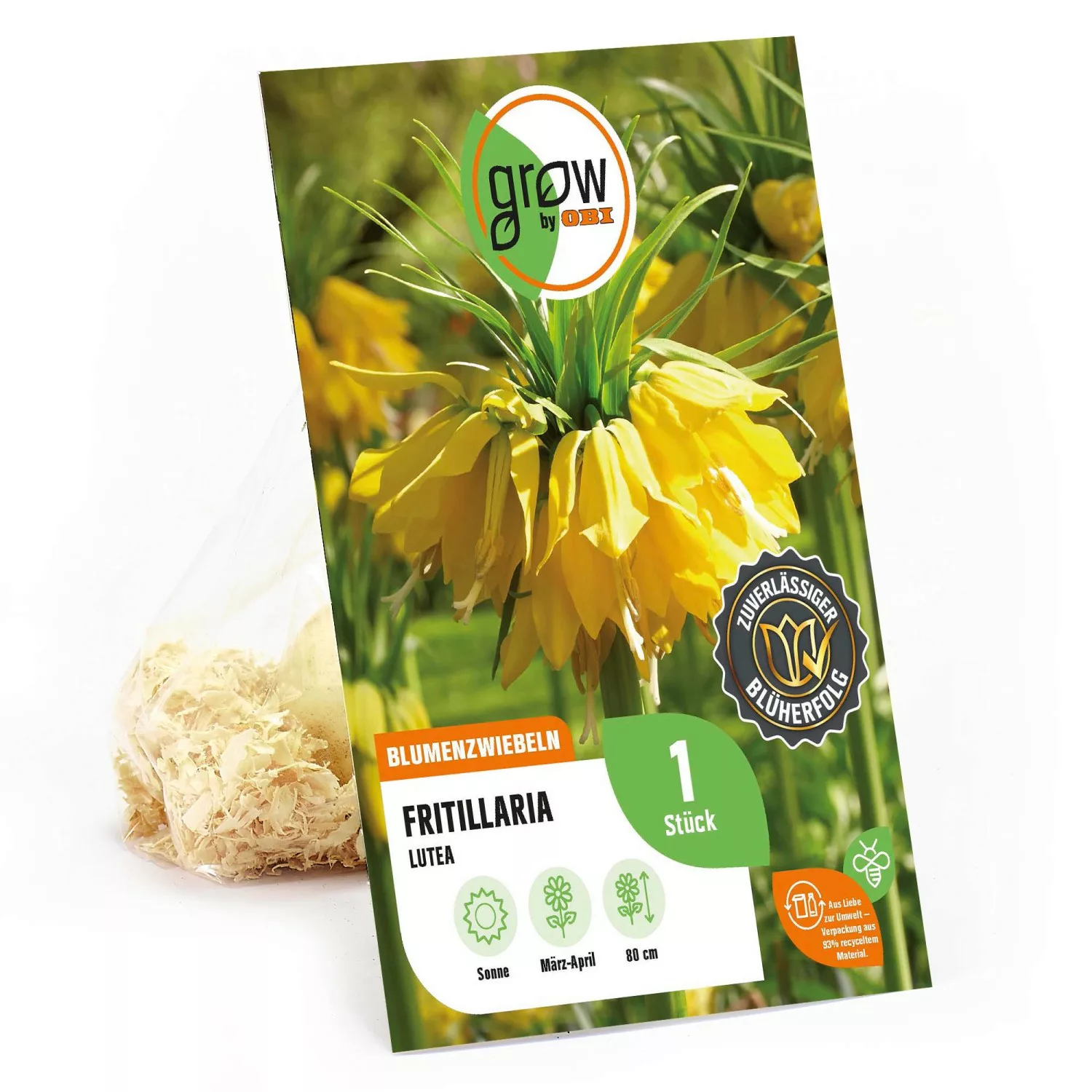 GROW by OBI Kaiserkrone Lutea Gelb 1 Stück Fritillaria günstig online kaufen