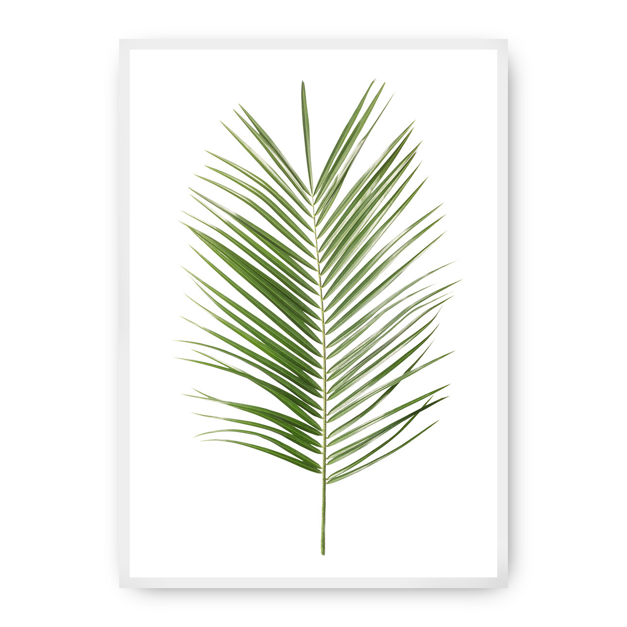 Poster Palm Leaf Green, 70 x 100 cm, Rahmen wählen: weiss günstig online kaufen