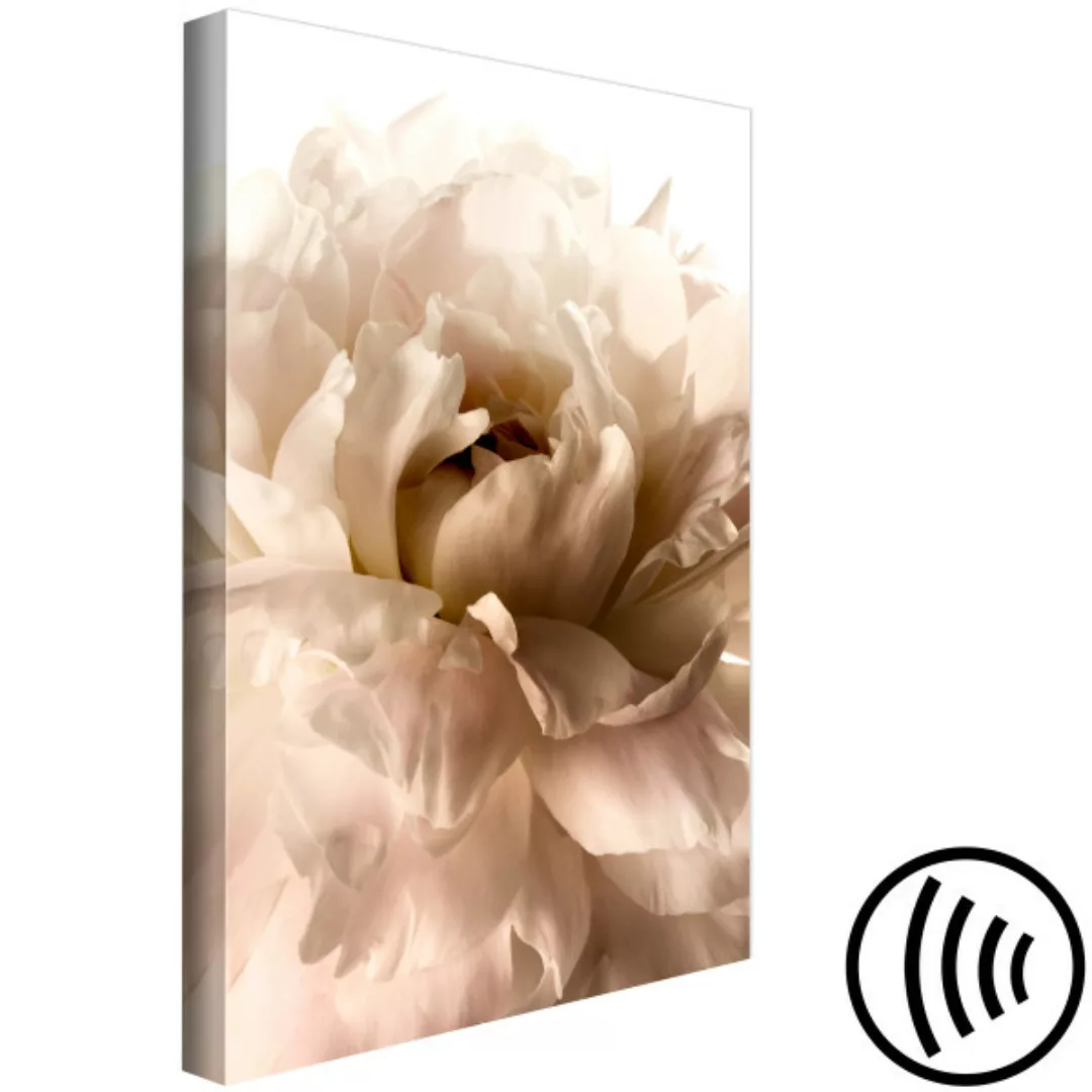 Wandbild Soft Petals (1 Part) Vertical XXL günstig online kaufen