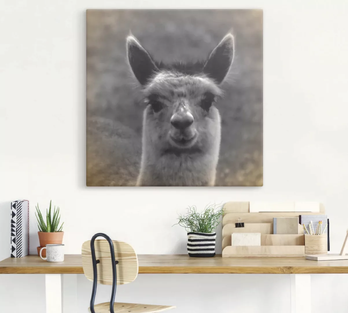 Artland Wandbild "Alpaka Blick", Wildtiere, (1 St.) günstig online kaufen