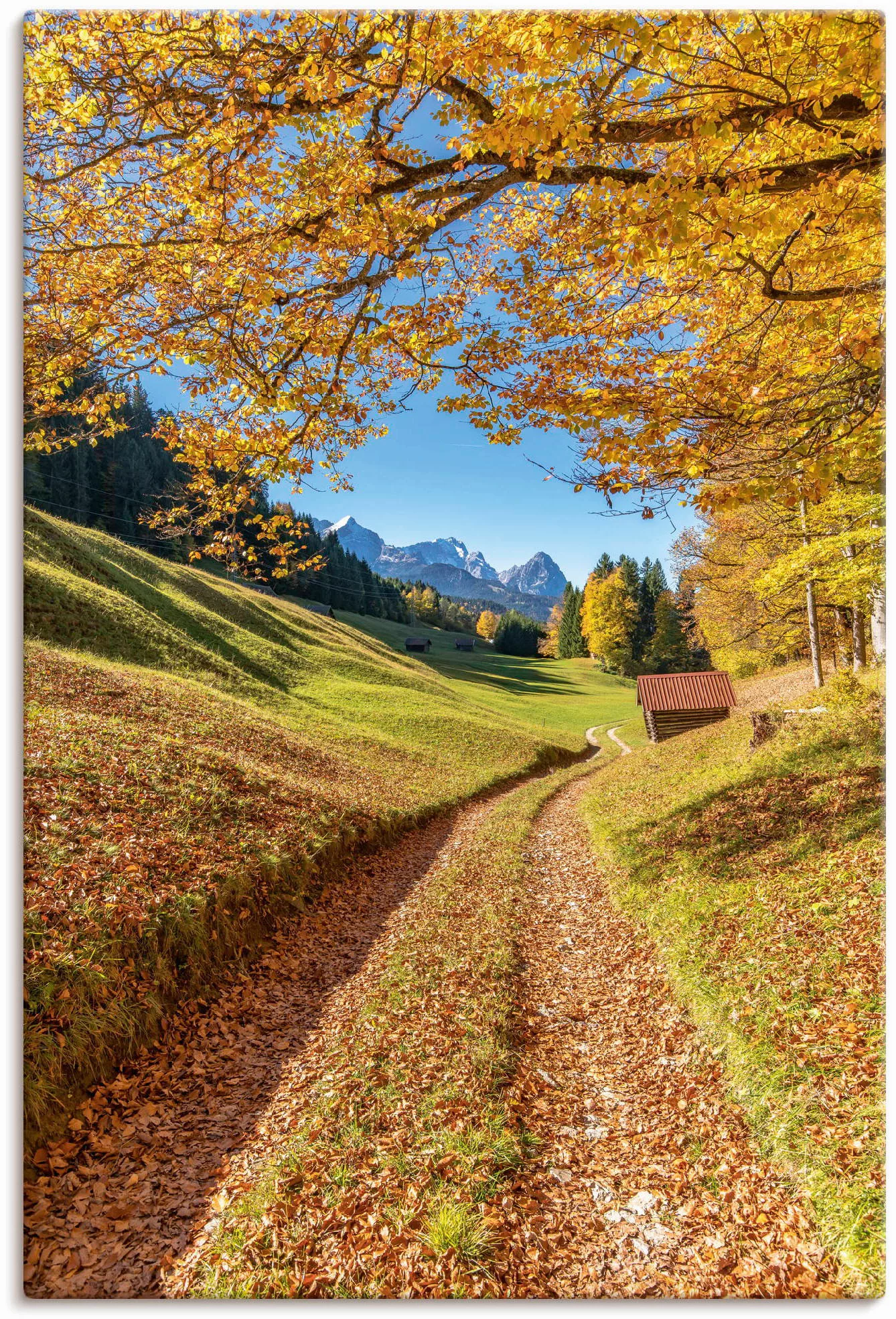 Artland Wandbild »Herbst in Bayern«, Berge & Alpenbilder, (1 St.), als Alub günstig online kaufen