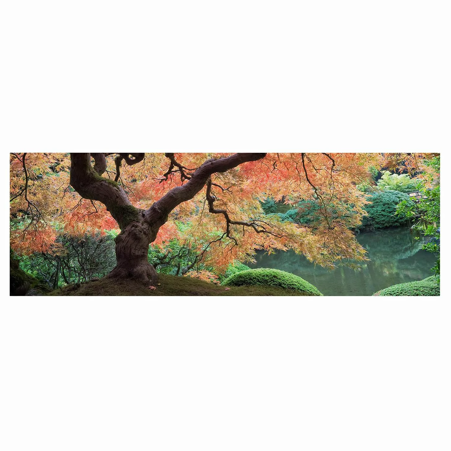 Leinwandbild Wald - Panorama Japanischer Garten günstig online kaufen