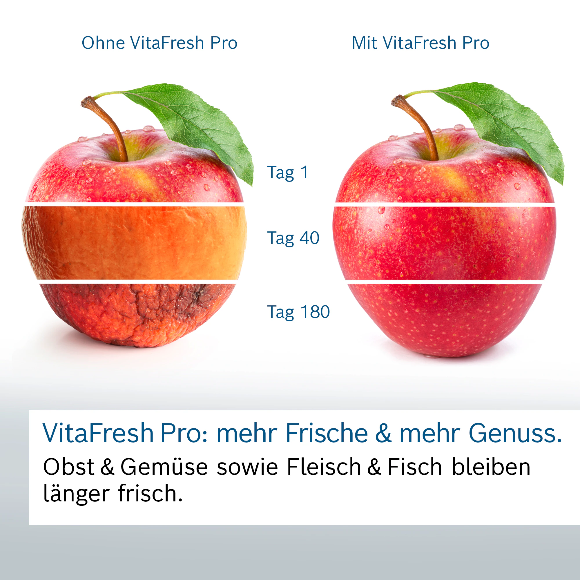BOSCH Einbaukühlschrank 8 »KIF81PFE0« günstig online kaufen