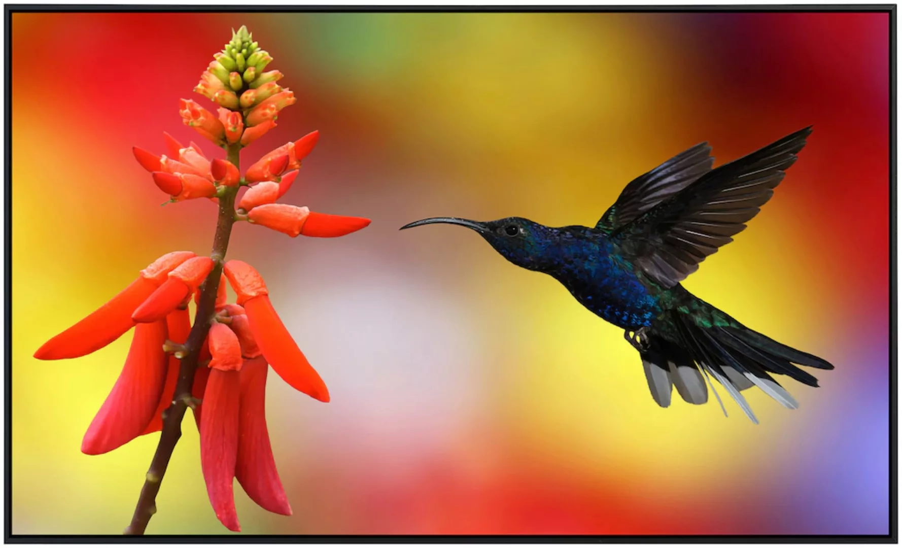 Papermoon Infrarotheizung »Kolibri im Flug«, sehr angenehme Strahlungswärme günstig online kaufen