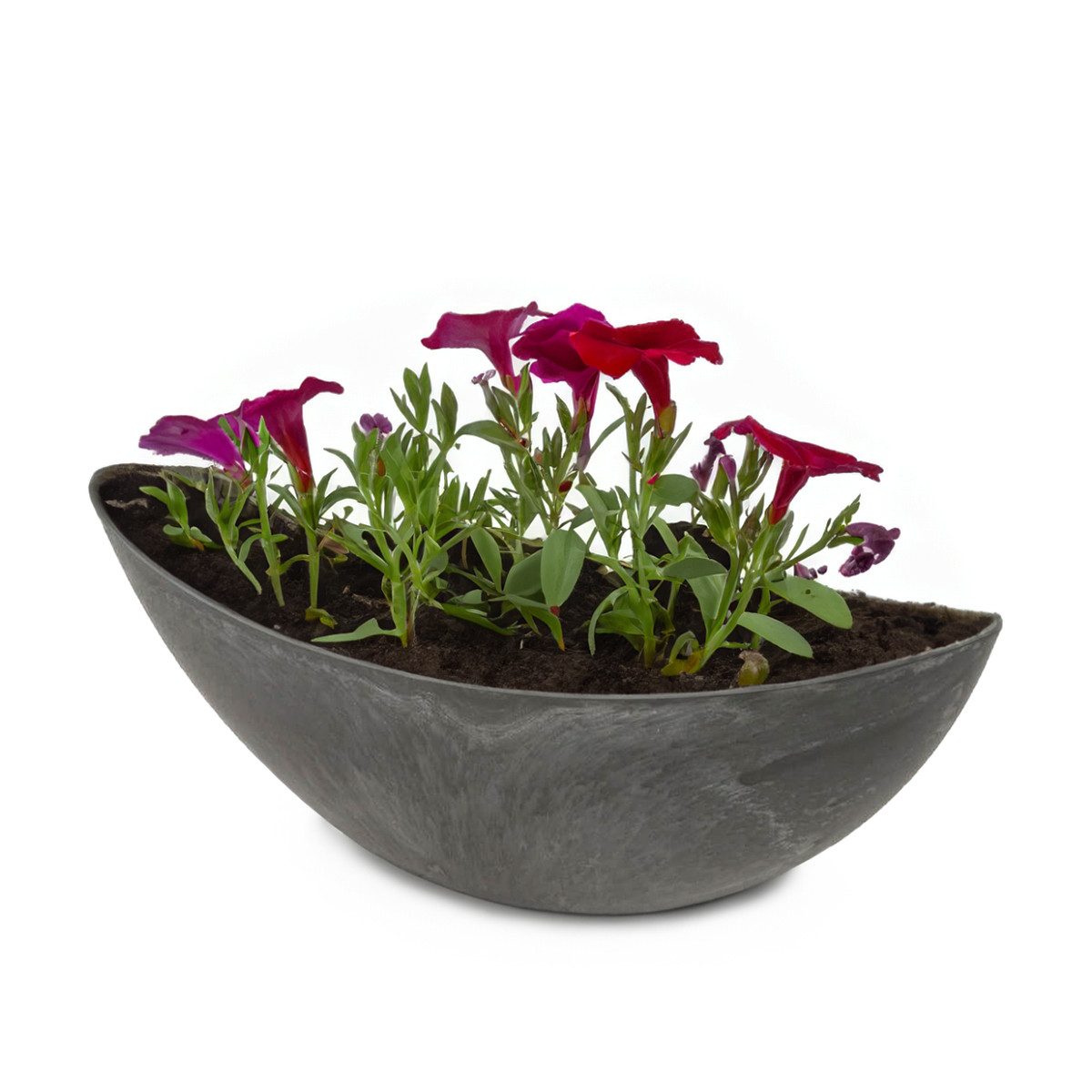 matches21 HOME & HOBBY Blumentopf Große günstig online kaufen