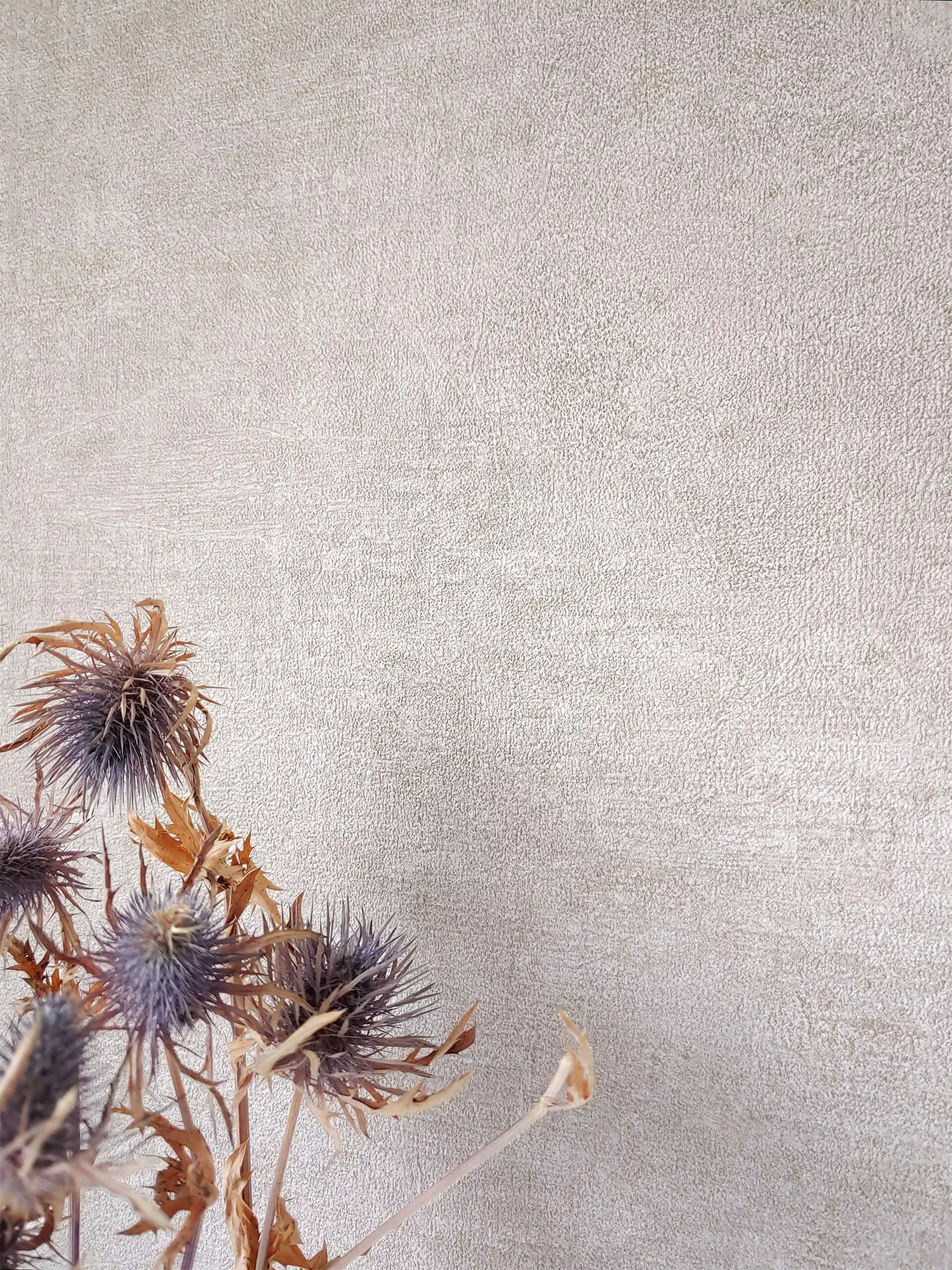Newroom Vliestapete, Beige Tapete Uni Einfarbig günstig online kaufen