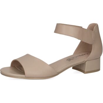 Caprice  Sandalen Sandalen günstig online kaufen