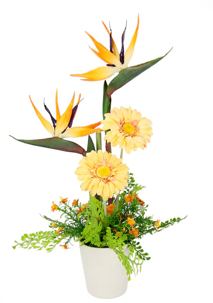 I.GE.A. Kunstblume »Arrangement Strelitzie/Gerbera«, Topf aus Keramik günstig online kaufen