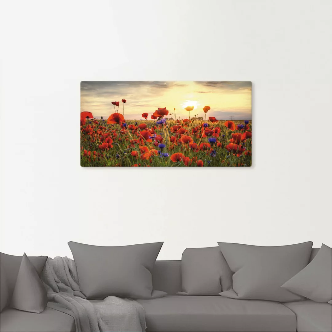 Artland Wandbild »Mohnblumen«, Blumen, (1 St.), als Alubild, Outdoorbild, L günstig online kaufen