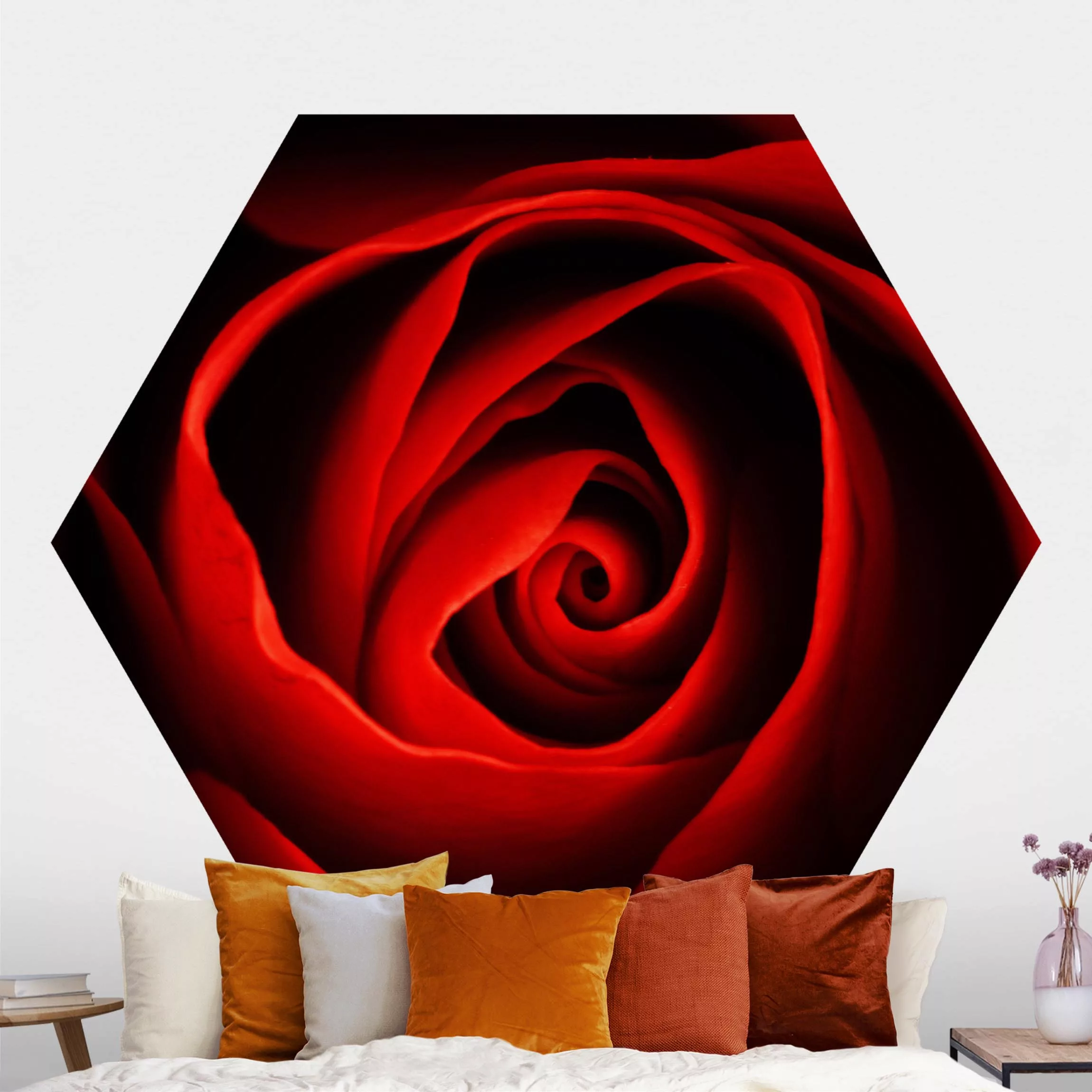 Hexagon Fototapete selbstklebend Liebliche Rose günstig online kaufen