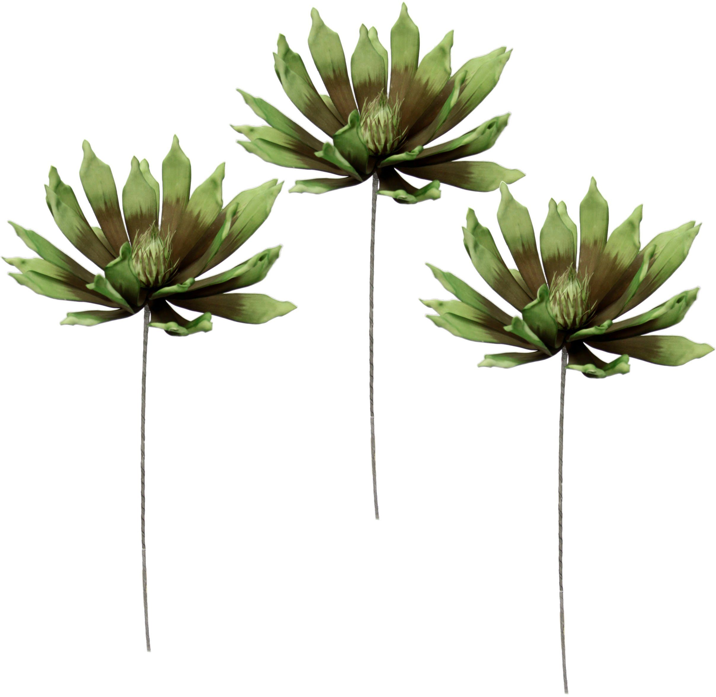 Kunstblume Soft-Protea, I.GE.A., Höhe 84 cm, günstig online kaufen