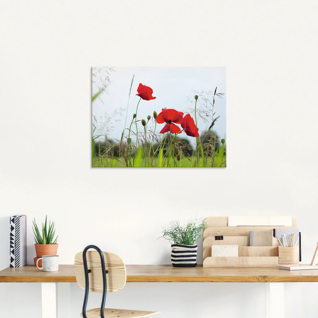 Artland Glasbild "Mohnblumen I", Blumen, (1 St.), in verschiedenen Größen günstig online kaufen