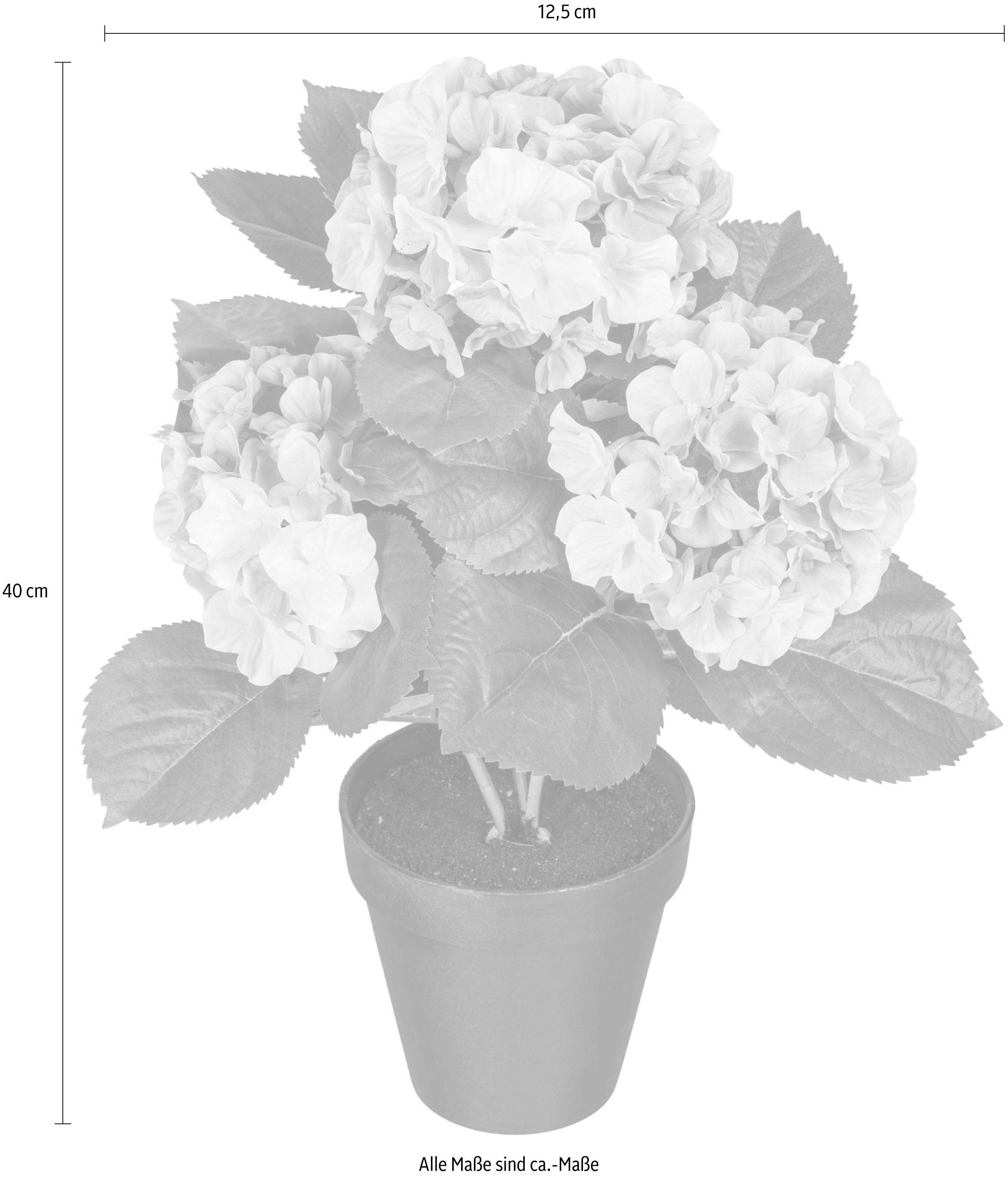 Kunstpflanze Hortensienbusch Hortensie, Creativ green, Höhe günstig online kaufen