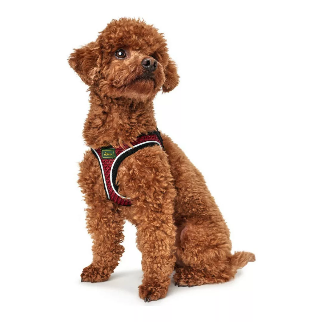 Hundegeschirr Hunter Hilo-comfort Rot Größe Xxs (26-30 Cm) günstig online kaufen