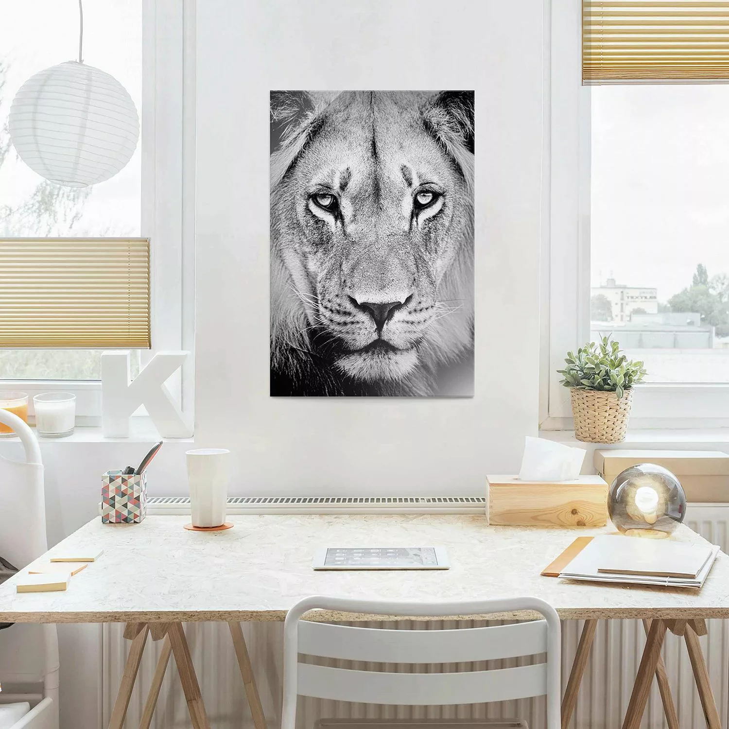 Glasbild Schwarz-Weiß - Hochformat Alter Löwe günstig online kaufen