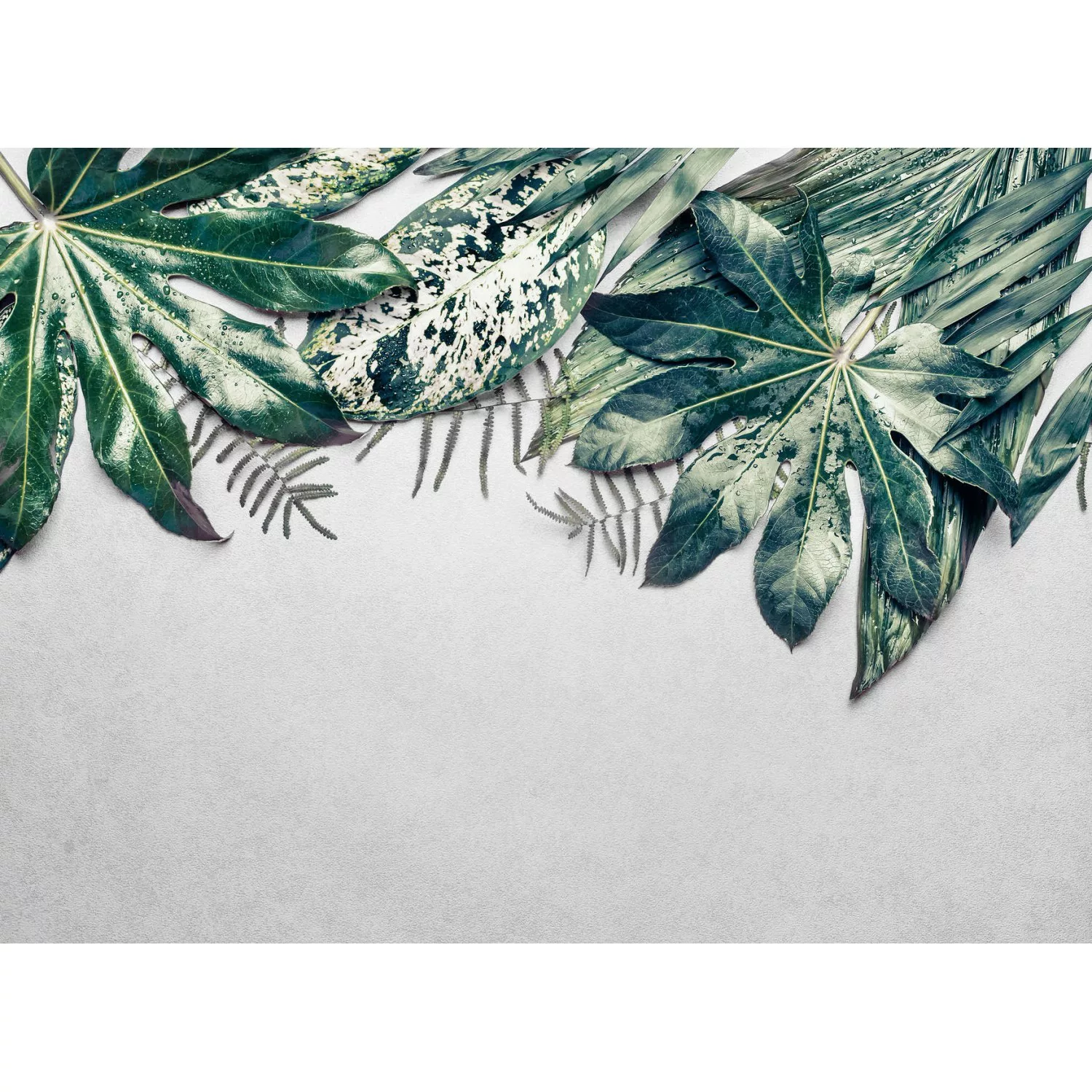 Fototapete Blätter Palmen Grün Grau 3,50 m x 2,55 m FSC® günstig online kaufen