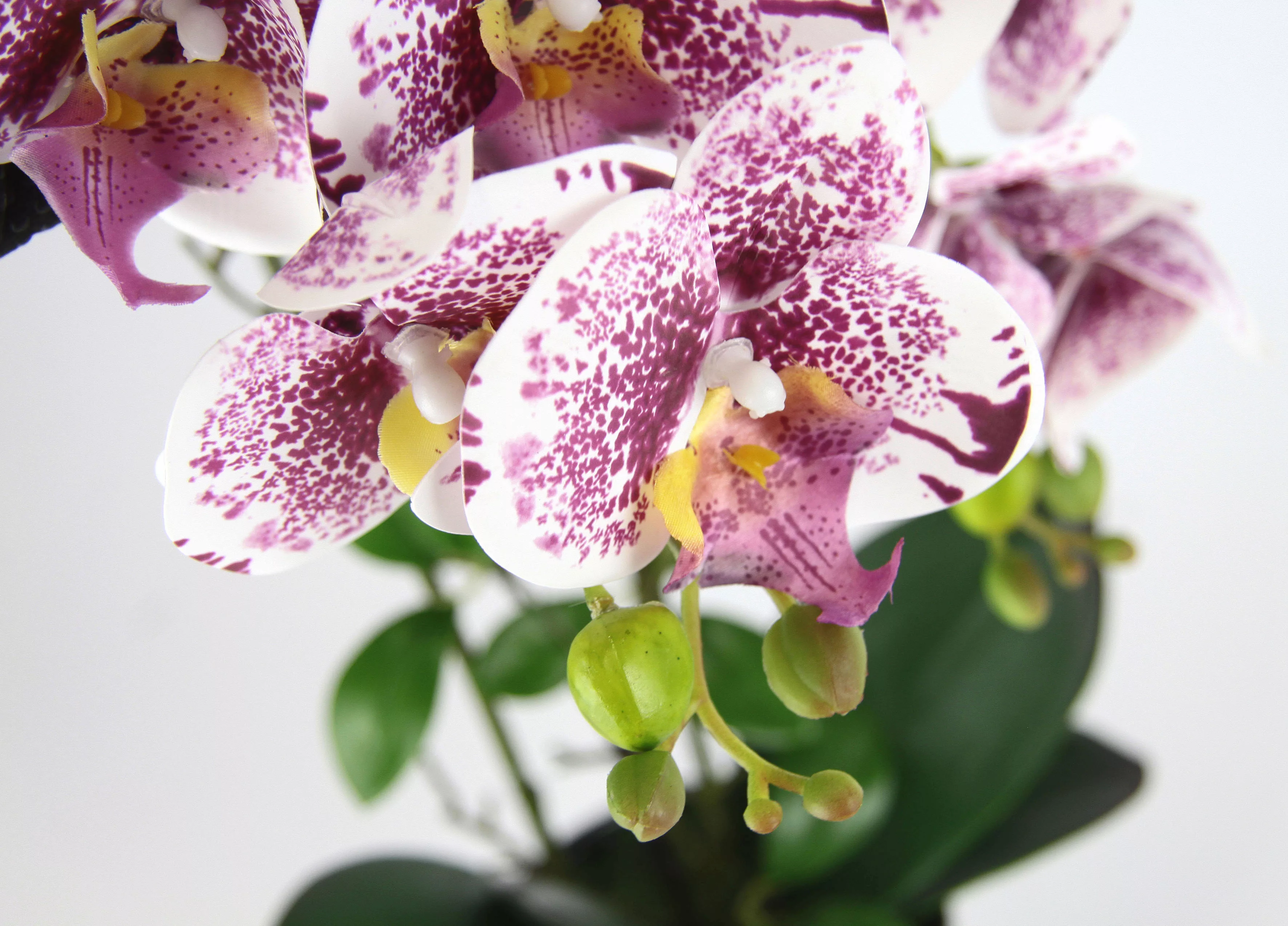 I.GE.A. Kunstblume "Orchidee", Im Topf Phalaenopsis Orchidee Phalaenopsis m günstig online kaufen