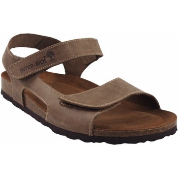 Interbios  Schuhe Herrensandale INTER BIOS 9536 taupe günstig online kaufen