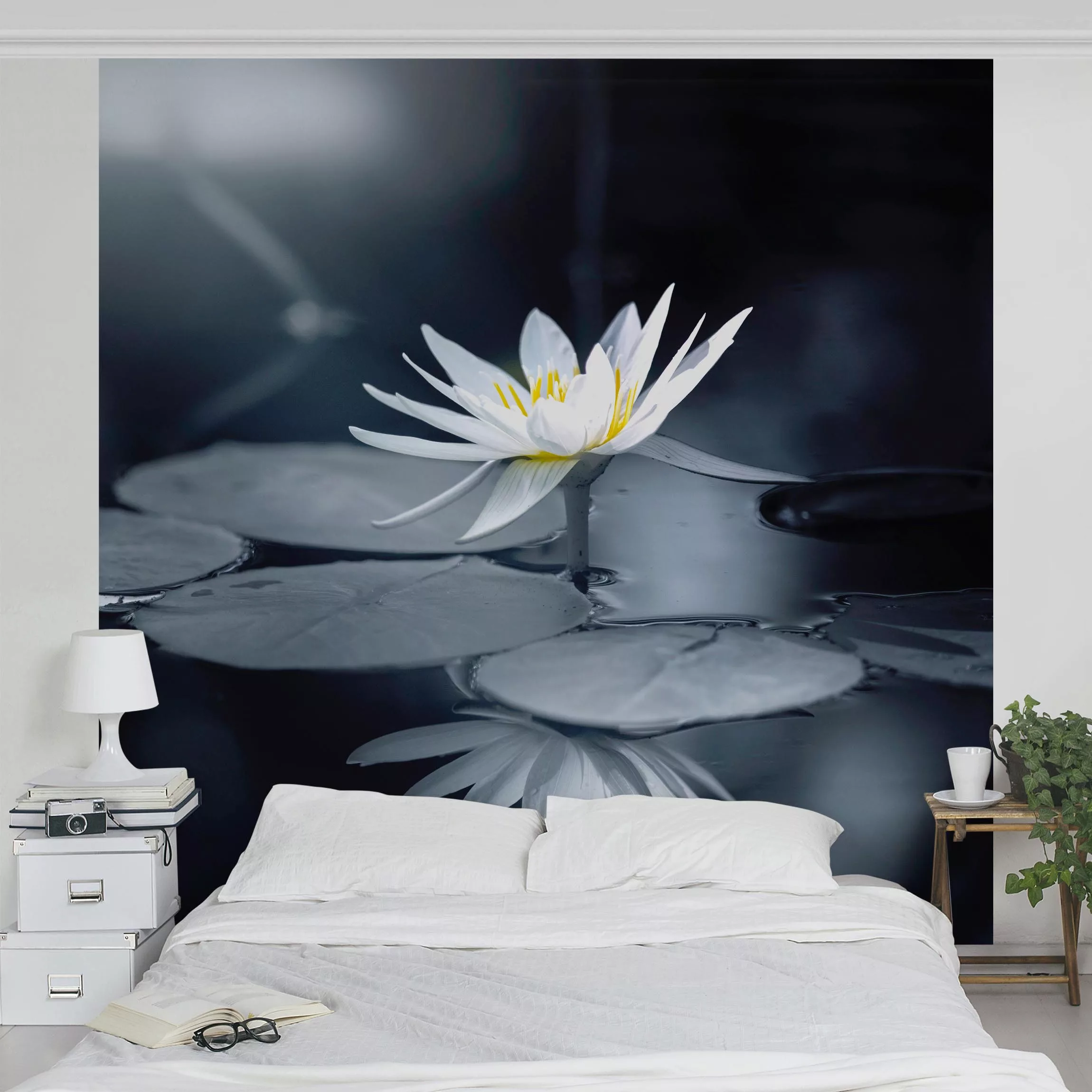 Fototapete Lotus Spiegelung im Wasser günstig online kaufen