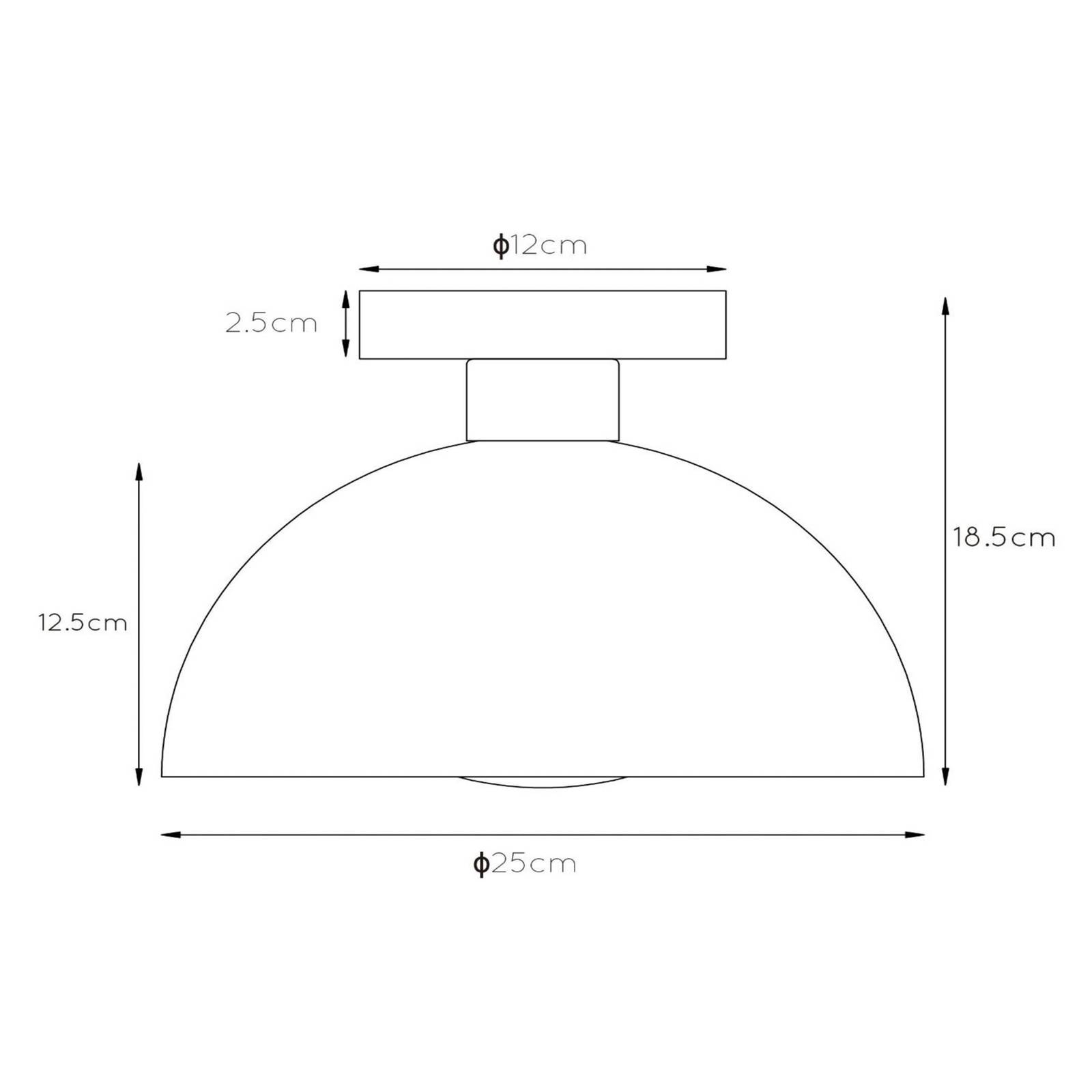 Deckenleuchte Siemon aus Stahl, Ø 25 cm, grün günstig online kaufen