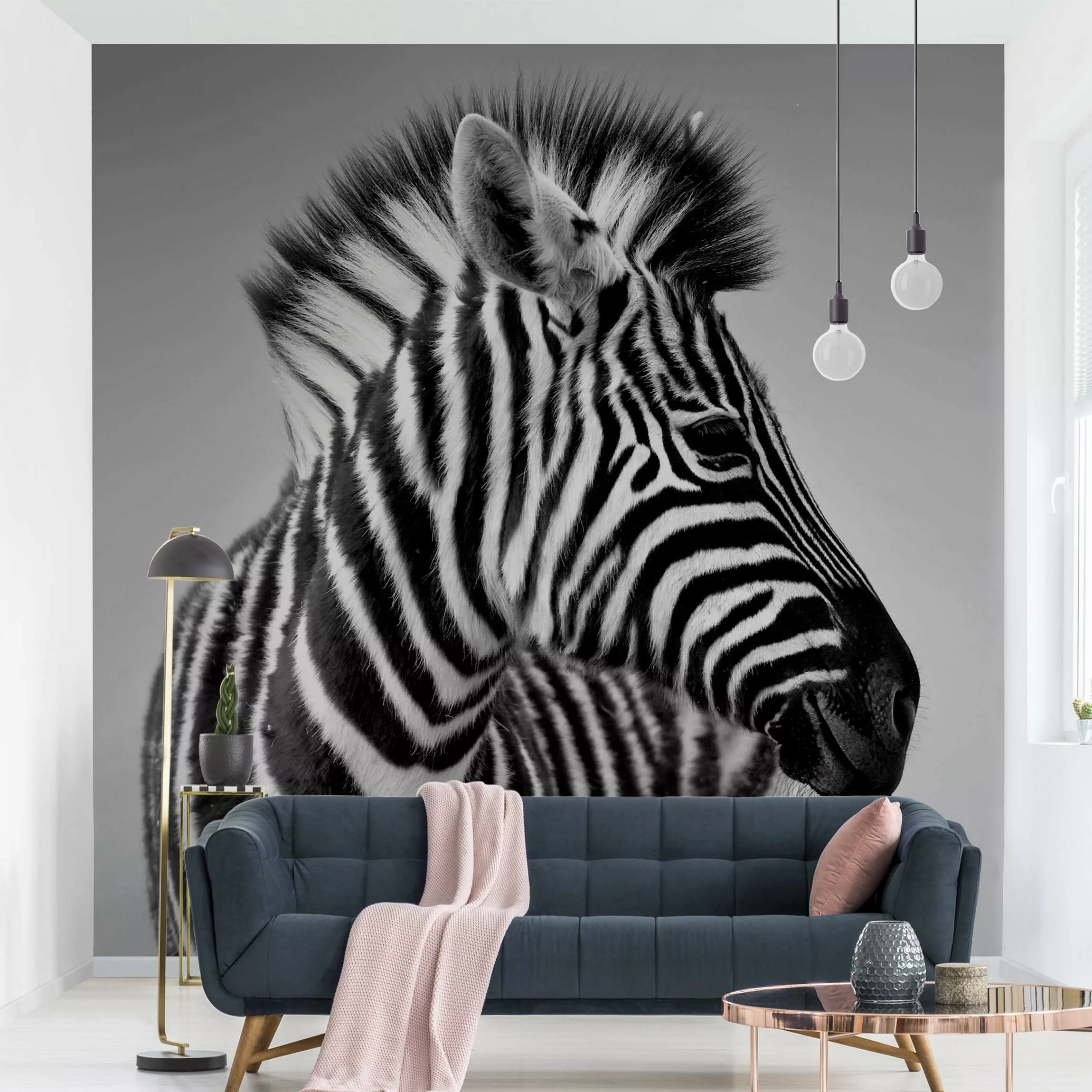 Fototapete Zebra Baby Portrait II günstig online kaufen