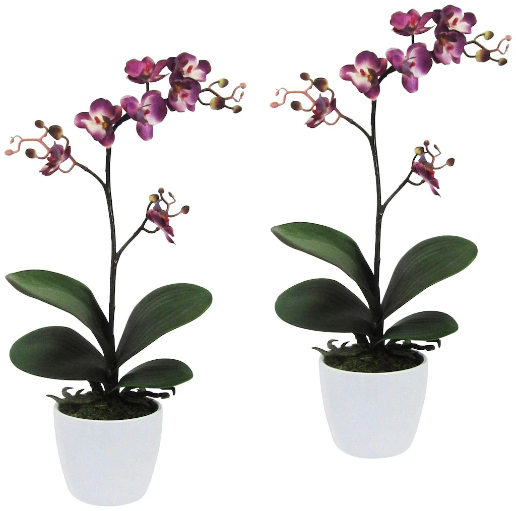 Creativ green Kunstpflanze "Orchidee Phalaenopsis", im Keramiktopf günstig online kaufen