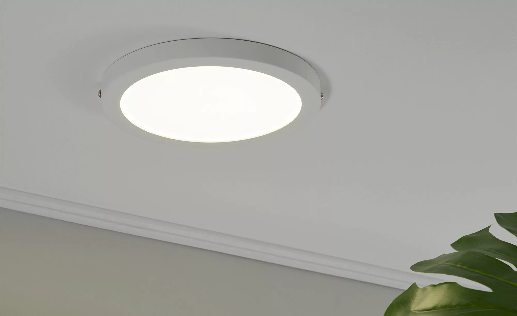 LED-Panel, weiß-matt, rund ¦ weiß Ø: 22 Lampen & Leuchten > Deckenleuchten günstig online kaufen