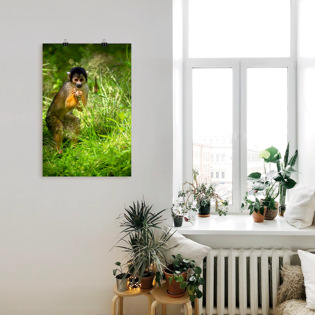 Artland Poster »Totenkopfäffchen im hohen Gras«, Affenbilder, (1 St.), als günstig online kaufen
