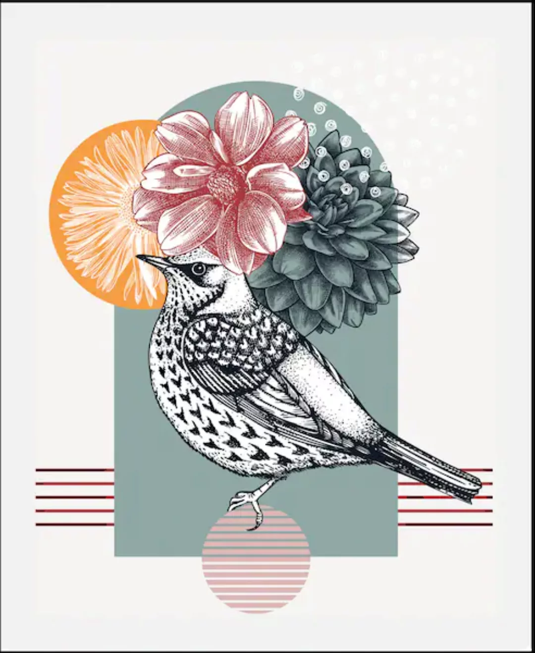 queence Bild "Birdy", Vögel, (1 St.), gerahmt günstig online kaufen