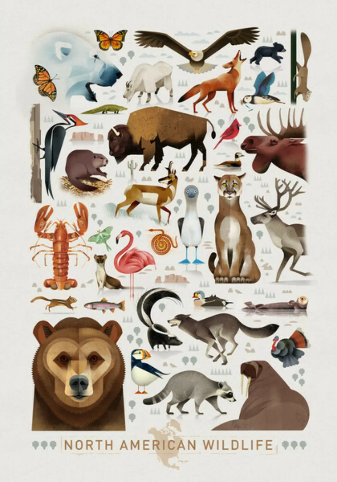Poster / Leinwandbild - Nordamerikanische Tierwelt günstig online kaufen
