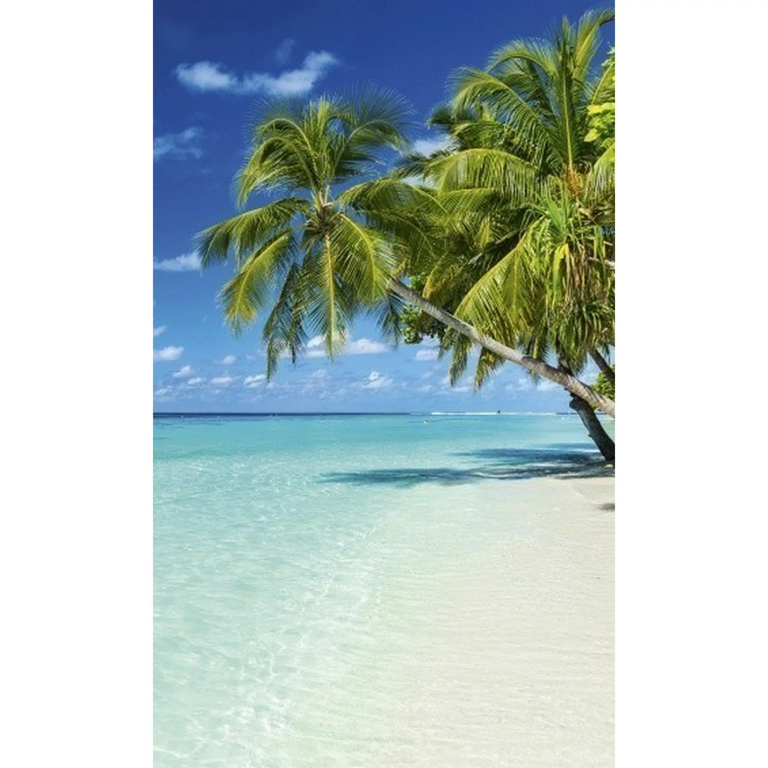 Fototapete PARADISE BEACH | MS-2-0215 | Blau | Digitaldruck auf Vliesträger günstig online kaufen