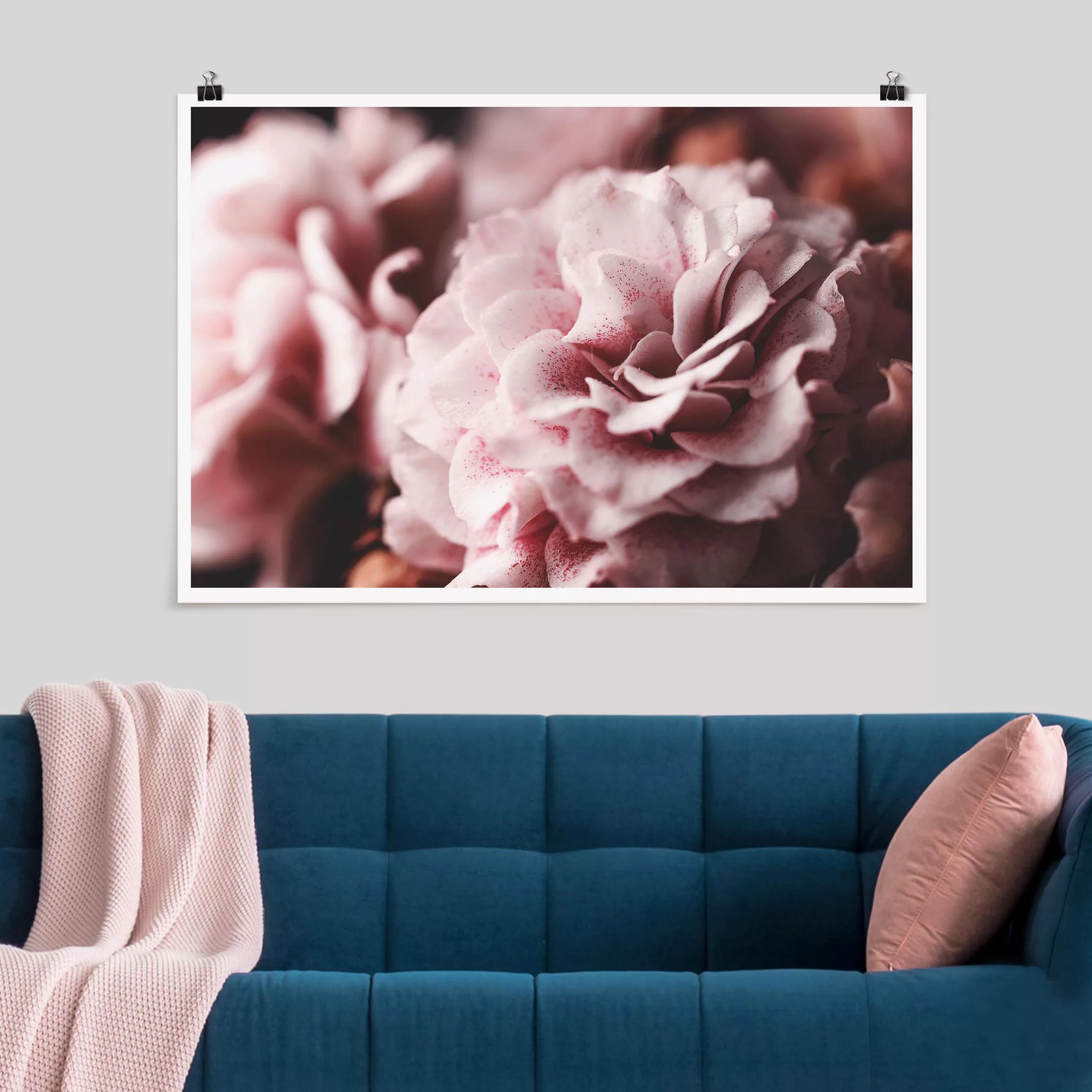 Poster Blumen - Querformat Shabby Rosa Rose Pastell günstig online kaufen