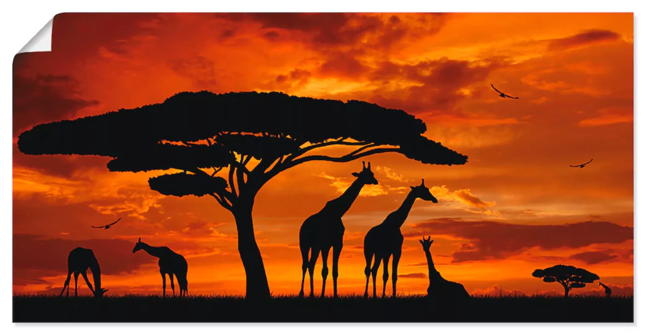 Artland Wandbild "Herde von Giraffen im Sonnenuntergang", Wildtiere, (1 St. günstig online kaufen
