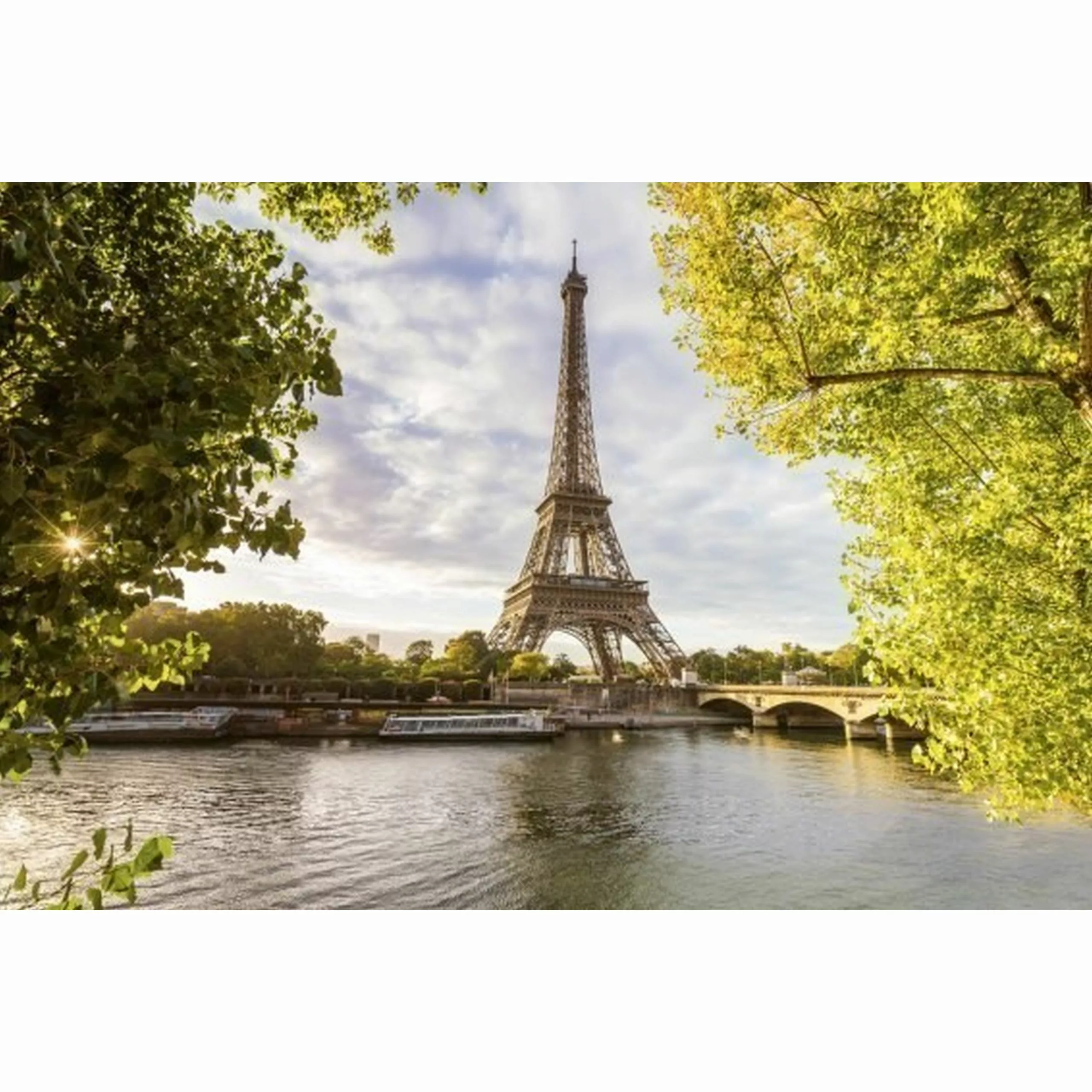 Fototapete SIENE IN PARIS  | MS-5-0028 | Grün | Digitaldruck auf Vliesträge günstig online kaufen