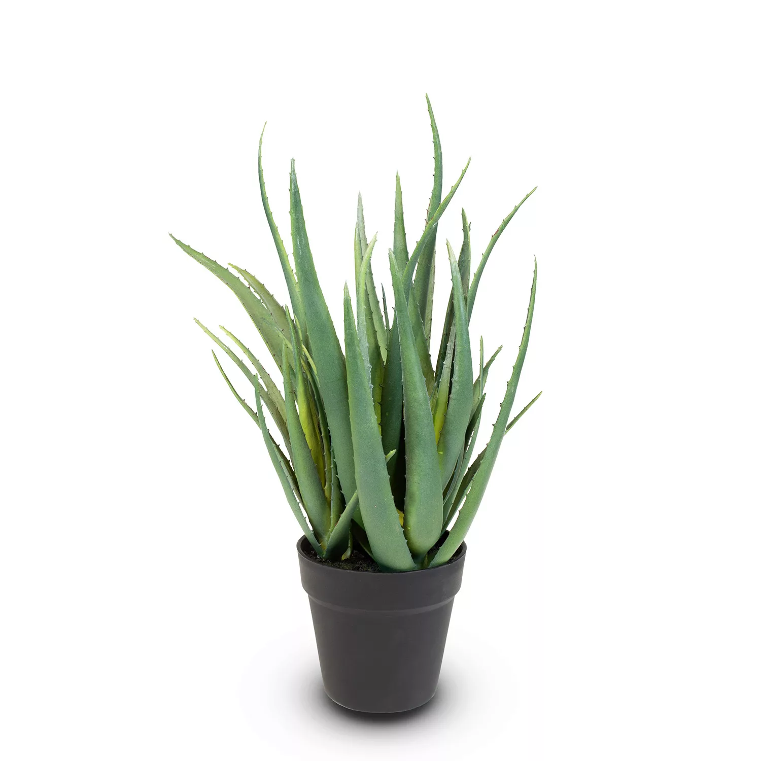 Aloe Vera Kunstpflanze, Höhe 45 cm günstig online kaufen