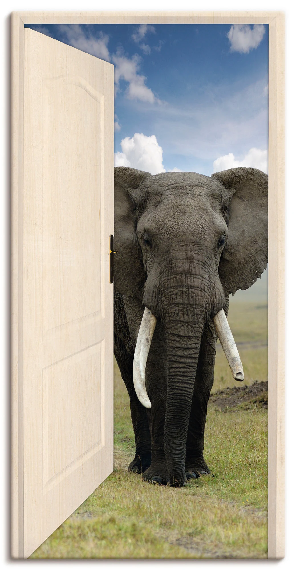 Artland Wandbild "Offene weiße Türe mit Blick auf Elefant", Wildtiere, (1 S günstig online kaufen
