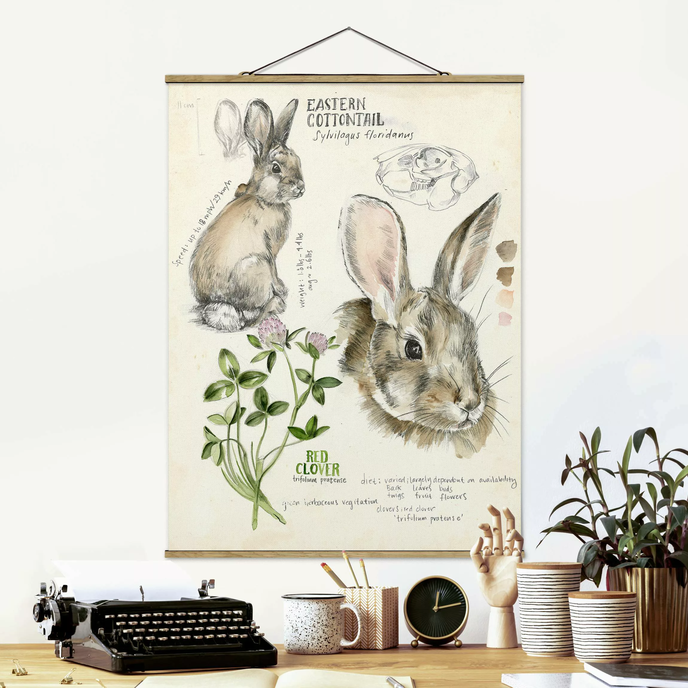 Stoffbild Tiere mit Posterleisten - Hochformat Wildnis Journal - Kaninchen günstig online kaufen